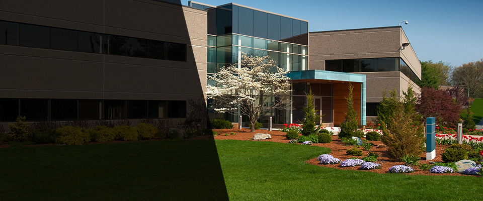 Rockville Landscapers